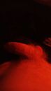 Slappe hap in zacht licht, foto 608x1069, 3 reacties, 5 stemmen