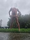 Smalle Ee 22 10 2023, foto 2736x3648, 2 reacties, 8 stemmen