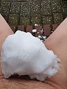Sneeuw, foto 3000x4000, 2 reacties, 8 stemmen