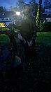 Snol  Annet, foto 2250x4000, 1 reacties, 6 stemmen