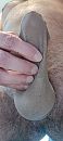 Sokjes en panty van Footlover, foto 1805x4000, 7 reacties, 8 stemmen