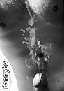 Soms moet het er echt uit...., foto 768x1078, 2 reacties, 2 stemmen