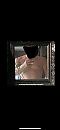 Spannend contact, foto 1170x2532, 0 reacties, 3 stemmen