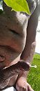 Spannende open aan bosrand, foto 1080x2400, 4 reacties, 11 stemmen
