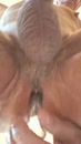 Spelen met grote dildo's, fijn, film 00:00:00, 26 reacties, 89 stemmen