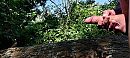 Spelen in het bos, foto 4000x1805, 5 reacties, 23 stemmen