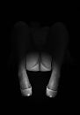 Spotlight...., foto 2817x4000, 9 reacties, 48 stemmen