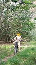 Spring maar achterop..., foto 1197x2124, 5 reacties, 22 stemmen