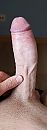 Sta geil, foto 1383x3822, 3 reacties, 11 stemmen