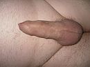 Stijf, foto 4000x3000, 1 reacties, 3 stemmen