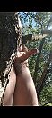 Stijf, foto 1080x2400, 0 reacties, 13 stemmen