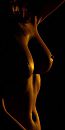 Studio, foto 500x1000, 6 reacties, 19 stemmen