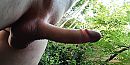 Stukke beter zo...., foto 3635x1847, 32 reacties, 52 stemmen
