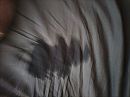 Subspace, foto 1280x960, 0 reacties, 1 stemmen