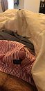 Surpriiiiseee, foto 1122x2208, 0 reacties, 4 stemmen