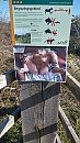 Tentoongesteld in het Openbaar, foto 2250x4000, 25 reacties, 43 stemmen