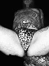The jungle, foto 2316x3088, 1 reacties, 12 stemmen