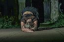 This feels as freedom, foto 2048x1365, 13 reacties, 49 stemmen