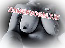 Thnx, foto 1600x1200, 3 reacties, 22 stemmen