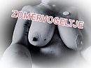 Thnx, foto 1600x1200, 2 reacties, 20 stemmen