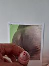 Tribute, foto 1734x2312, 3 reacties, 5 stemmen