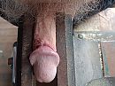 Tussen de werkbank, foto 4000x3003, 6 reacties, 12 stemmen