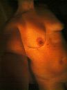 Vakantie, foto 576x768, 81 reacties, 223 stemmen