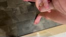 Vakantie, film 00:00:26, 21 reacties, 38 stemmen