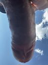 Van onderen, foto 2316x3088, 7 reacties, 12 stemmen