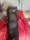 Vast in folie, foto 1512x2016, 4 reacties, 10 stemmen