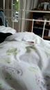 Verrassing, film 00:00:07, 2 reacties, 6 stemmen