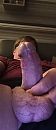Verstopt, foto 1010x2304, 0 reacties, 6 stemmen