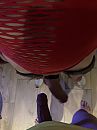 Visite !, foto 3000x4000, 13 reacties, 41 stemmen
