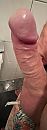 Vol en hongerig, foto 444x1218, 6 reacties, 20 stemmen