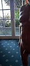 Voor het raam., foto 1504x3264, 4 reacties, 4 stemmen