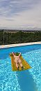 Waar is die zomer, foto 738x1600, 11 reacties, 63 stemmen