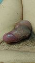Wacht op iets lekkers, foto 2252x4000, 0 reacties, 3 stemmen
