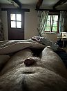 Wakker worden in Zuid Frankrij, foto 1536x2048, 8 reacties, 10 stemmen