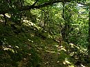 Wandeling, foto 800x600, 1 reacties, 5 stemmen