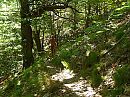 Wandeling, foto 800x600, 0 reacties, 4 stemmen