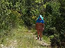 Wandeling, foto 800x600, 2 reacties, 15 stemmen