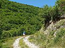 Wandeling, foto 800x600, 0 reacties, 7 stemmen