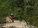 Wandeling, foto 800x600, 1 reacties, 20 stemmen