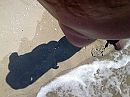 Wandeling aan zee, foto 800x600, 1 reacties, 7 stemmen