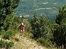 Wandeling, foto 800x600, 5 reacties, 22 stemmen