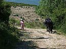 Wandeling, foto 800x600, 2 reacties, 10 stemmen