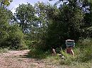 Wandeling, foto 800x600, 1 reacties, 12 stemmen