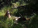 Wandeling, foto 800x600, 3 reacties, 12 stemmen