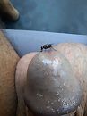Wat is dit?, foto 1932x2576, 2 reacties, 4 stemmen