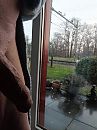 Wat vinden jullie ervan, foto 3000x4000, 17 reacties, 30 stemmen